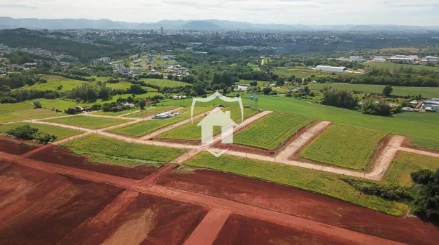 Terreno, foto 1