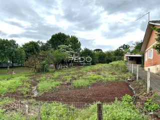 Vista externa de um terreno com vegetação densa e cerca de madeira.