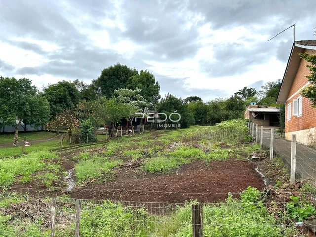 Terreno, foto 3