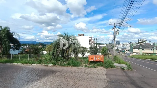 Vista externa de uma propriedade com vegetação e estrada no fundo.
