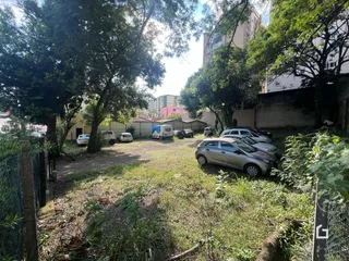 Vista externa de um terreno com vegetação densa e veículos estacionados.