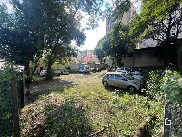 Vista externa de um terreno com vegetação densa e veículos estacionados.