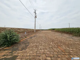 Terreno, foto 2