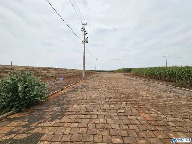 Terreno, foto 2