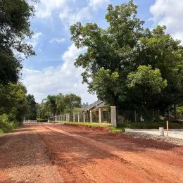 Vista de uma estrada de terra com vegetação ao fundo.