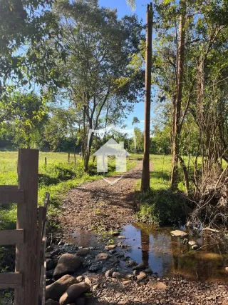 Vista de um caminho de terra atravessando uma área verde com vegetação e um pequeno riacho.
