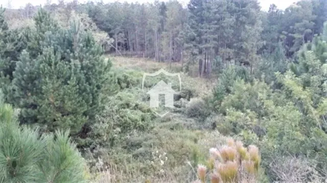 Área rural