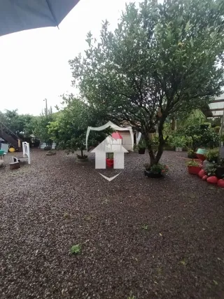 Terreno, foto 21