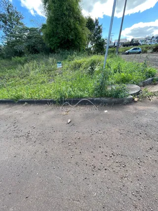 Vista externa de uma área com vegetação alta e terra no primeiro plano.
