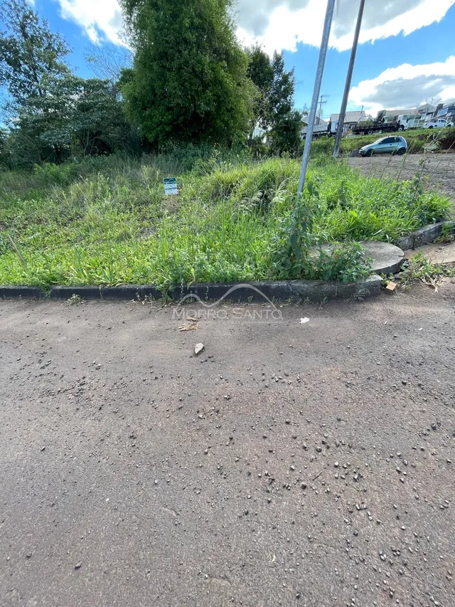 Vista externa de uma área com vegetação alta e terra no primeiro plano.