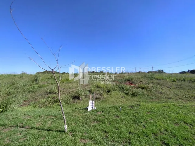 Paisagem de campo com vegetação verde e céu azul.