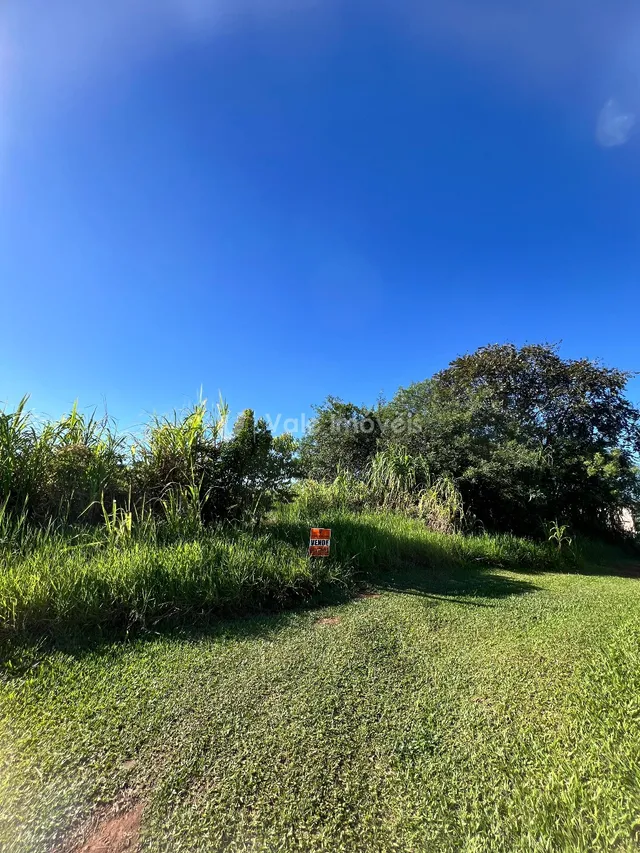 Terreno, foto 2