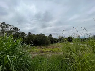 Terreno, foto 4