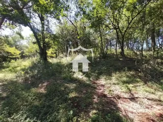 Área rural com 3 dormitórios, foto 12
