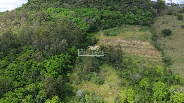 Vista aérea de uma área de mata e campos no Brasil.