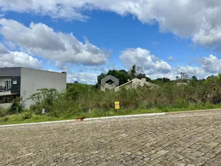 Vista externa de uma propriedade com vegetação e pavimento.