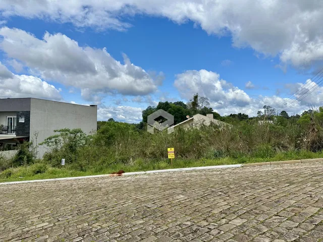 Vista externa de uma propriedade com vegetação e pavimento.