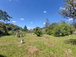 Campo gramado com árvores ao fundo sob um céu azul.