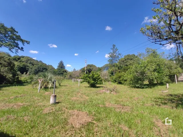 Campo gramado com árvores ao fundo sob um céu azul.