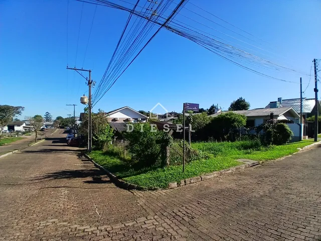 Terreno, foto 5