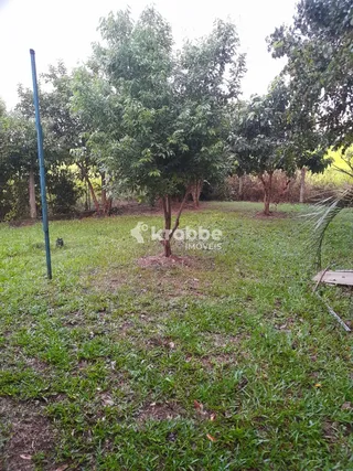 Casa com 3 dormitórios, foto 12