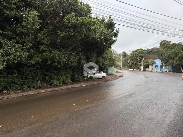 Vista da rua com vegetação densa ao lado de uma estrada em Lajeado.