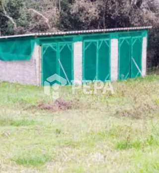 Área rural, foto 7