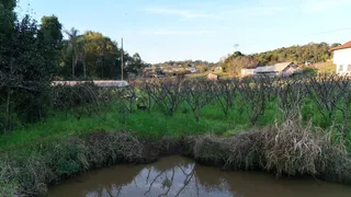 Área rural, foto 7
