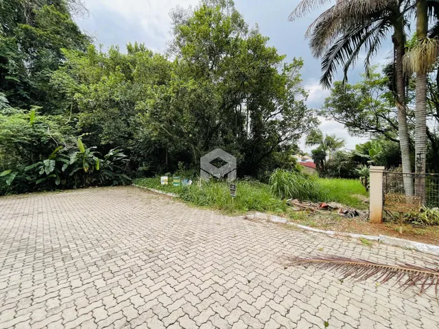 Vista da frente de uma propriedade com área pavimentada e vegetação densa.
