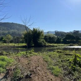 Paisagem de um rio ou lago com vegetação densa ao fundo.