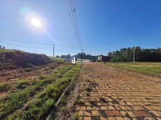 Paisagem de campo com um campo aberto e vegetação.
