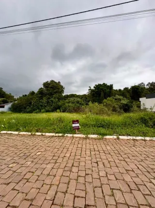 Foto da área externa pavimentada com grama e vegetação verde.