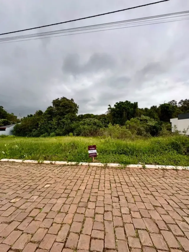 Foto da área externa pavimentada com grama e vegetação verde.