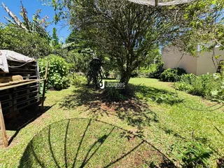 Vista de um jardim gramado com árvores e vegetação.