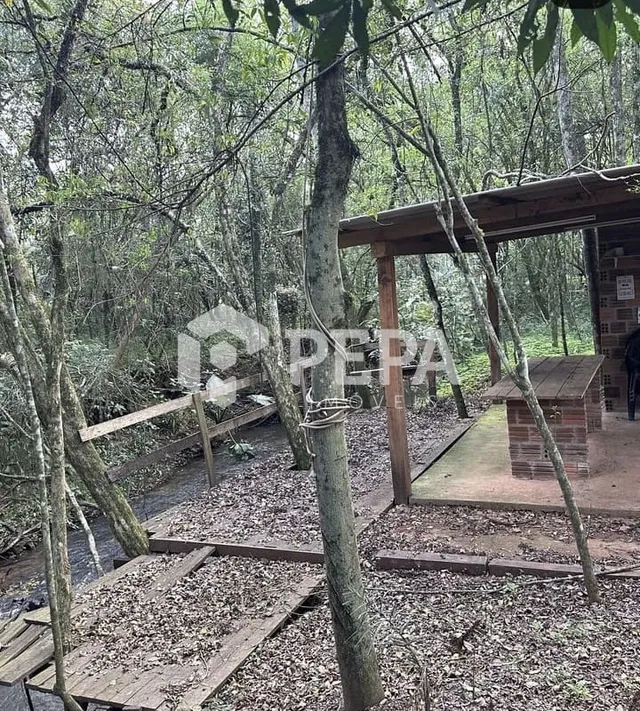 Área rural, foto 5
