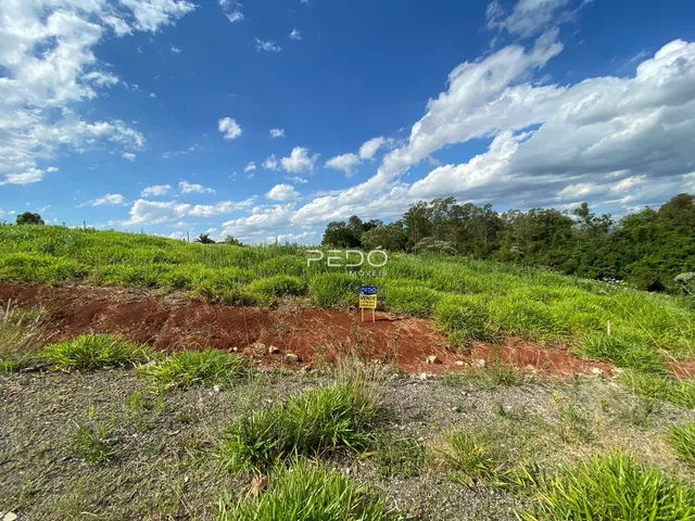 Terreno