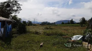 Área rural com 3 dormitórios, foto 9