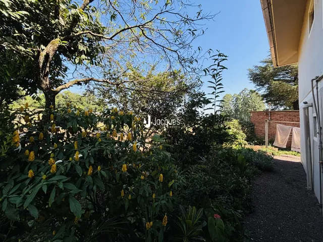 Vista externa de uma propriedade com vegetação densa e um caminho de terra.