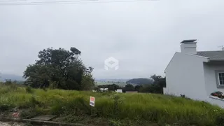Vista externa de uma propriedade com vegetação e uma casa branca ao fundo.