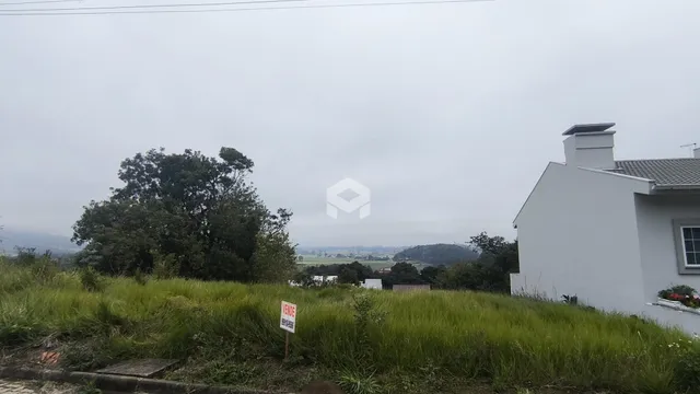 Vista externa de uma propriedade com vegetação e uma casa branca ao fundo.