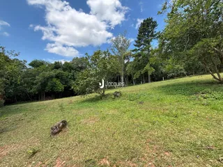 Paisagem de um campo gramado com árvores sob um céu azul.
