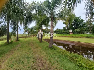 Área rural, foto 9