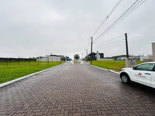 Vista da rua pavimentada com gramado e residências ao fundo.