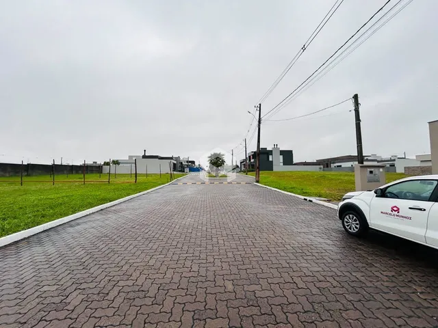 Vista da rua pavimentada com gramado e residências ao fundo.