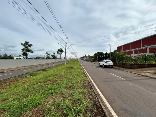 Terreno, foto 3