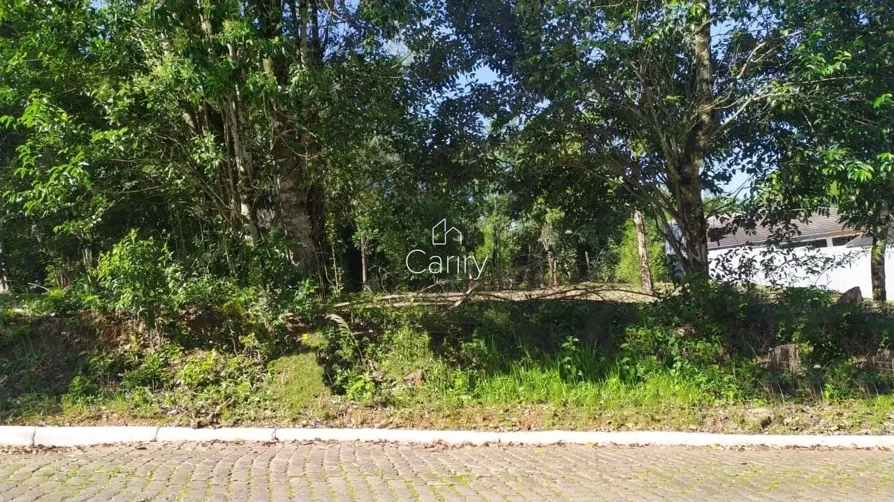 Terreno, foto 1