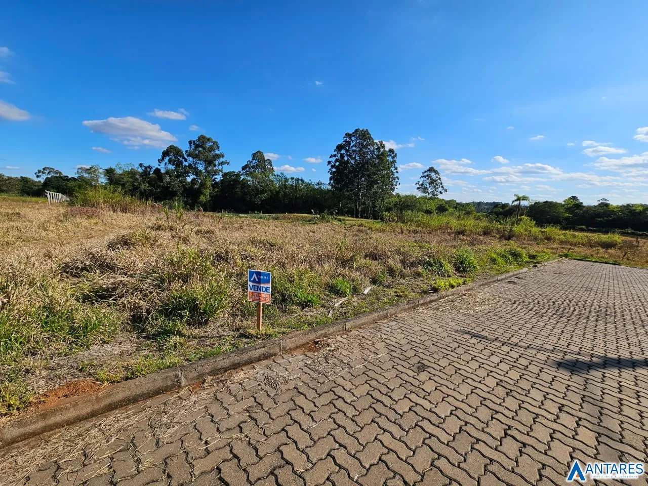 Terreno, foto 1