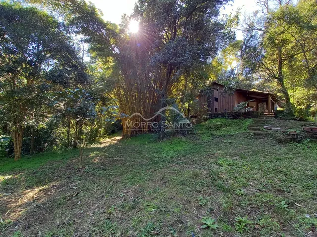 Vista externa da propriedade com vegetação densa e árvores no entorno.