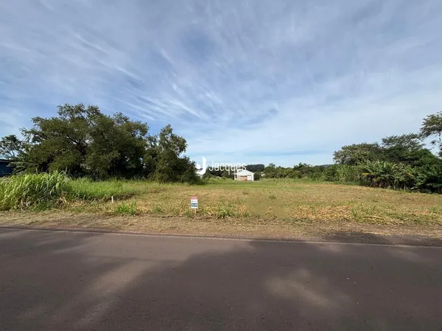 Vista da propriedade com vegetação e estrada no primeiro plano.