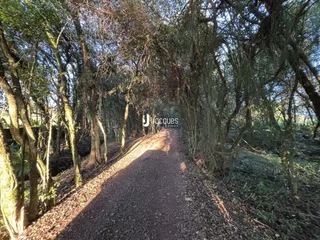Área rural com 3 dormitórios, foto 2